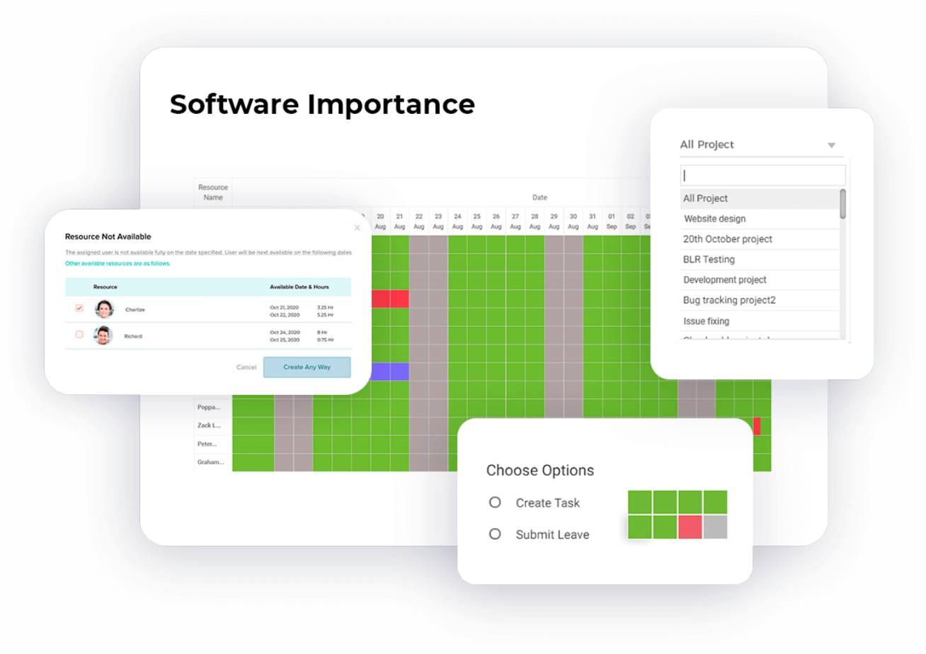 Software Importance